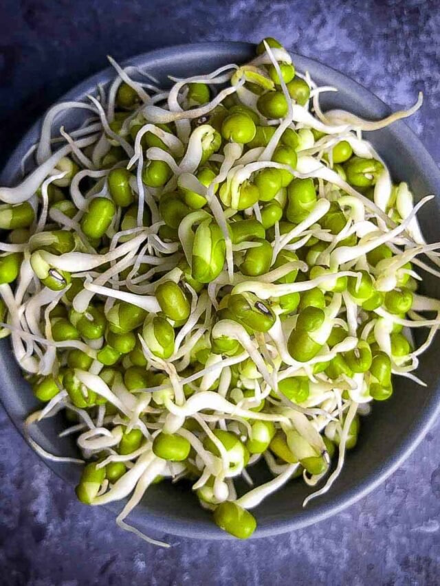 07 Benefit Of Sprouts Eating Daily Morning